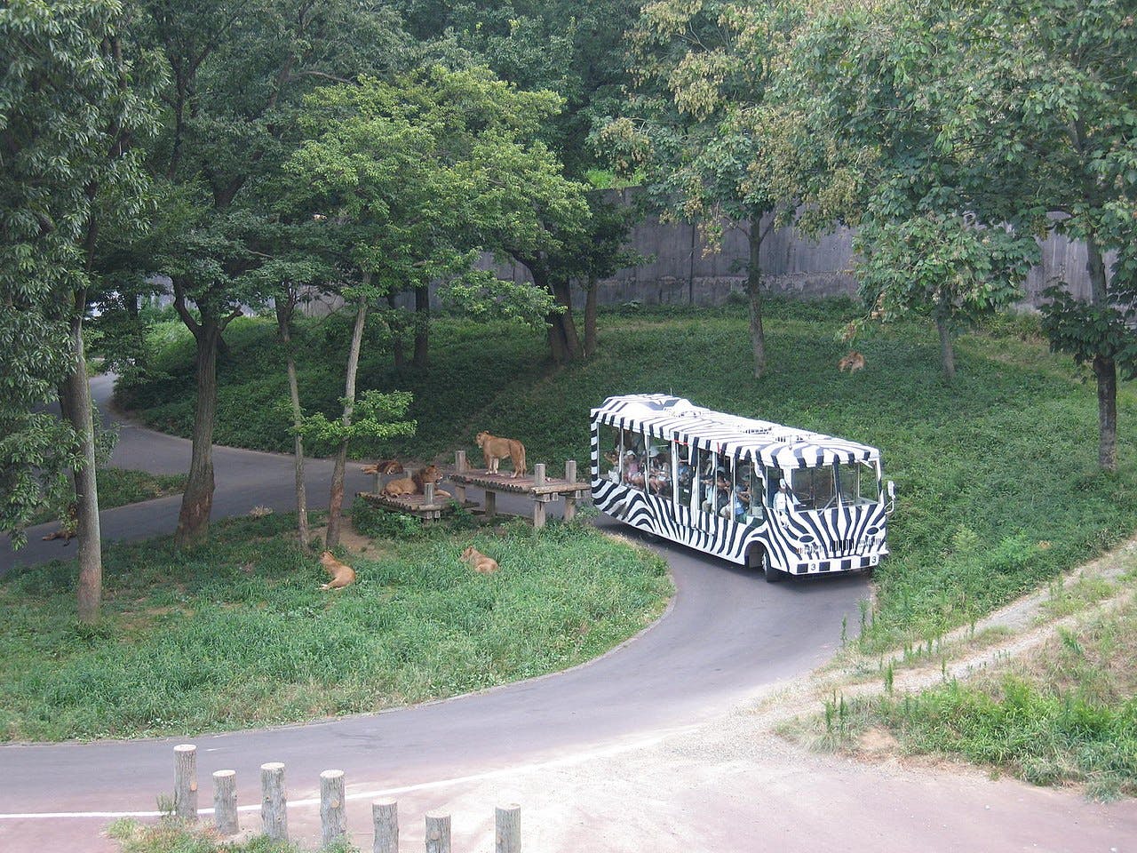Tama Zoological Park