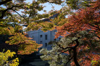 Tokyo National Museum