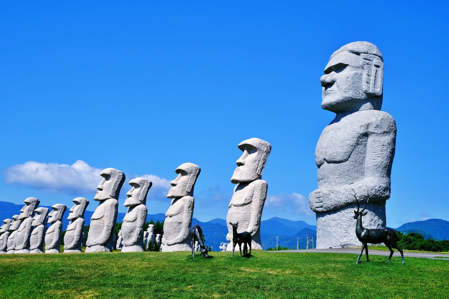 Hill of the Buddha Hill of the Buddha