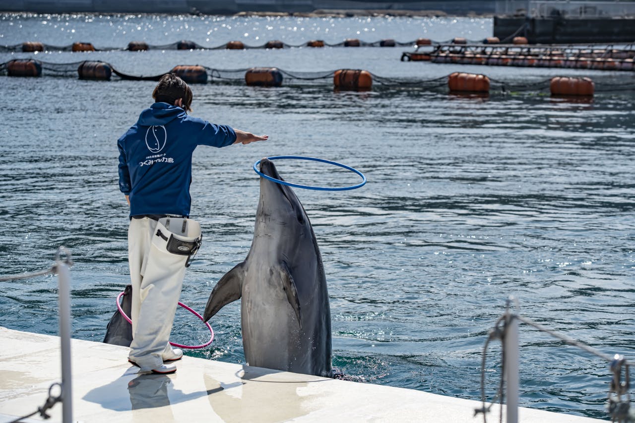 Tsukumi Dolphin Island