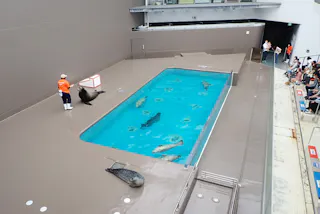Kamo Aquarium