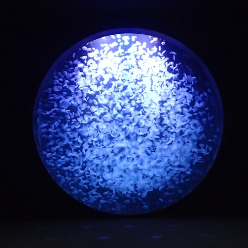 Kamo Aquarium Kamo Aquarium