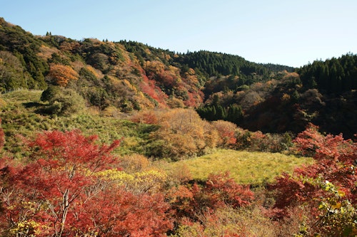 Tsutsumori Momijidani Valley