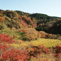 Tsutsumori Momijidani Valley Tsutsumori Momijidani Valley