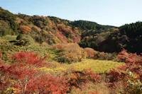 Tsutsumori Momijidani Valley