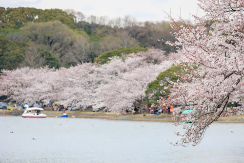 Akashi Park