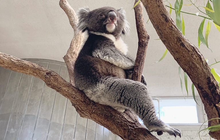 Awaji Farm Park England Hill