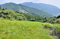 Mt. Dodairayama