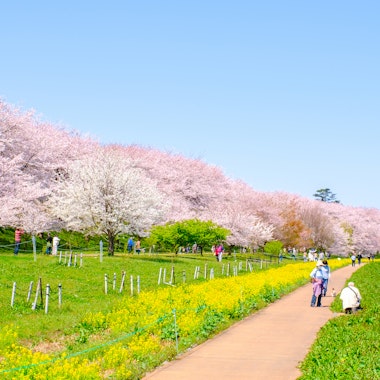 Gongendo Park Gongendo Park