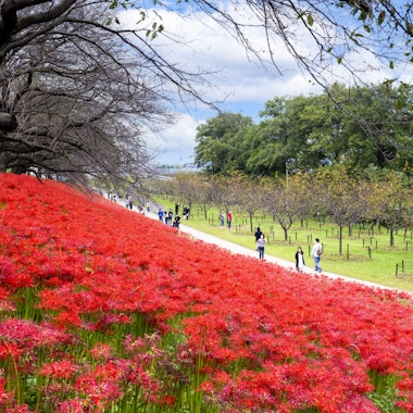 Gongendo Park Gongendo Park