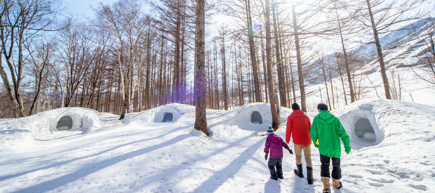 Hakuba Cortina Ski Resort