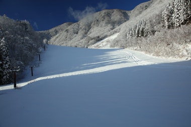 Hakuba Sanosaka Ski Resort