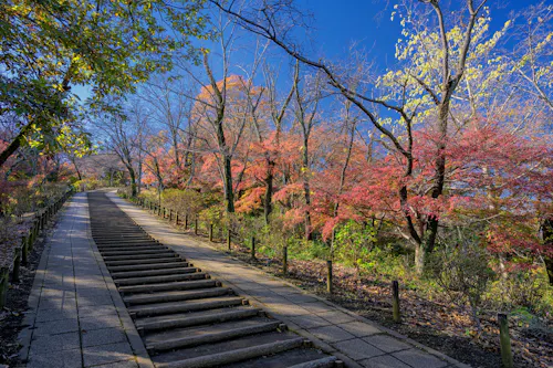 Koboyama Park