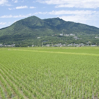 Mt. Tsukuba Mt. Tsukuba