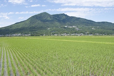 Mt. Tsukuba