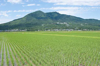 Mt. Tsukuba