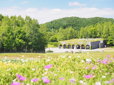 National Takino Suzuran Hillside Park