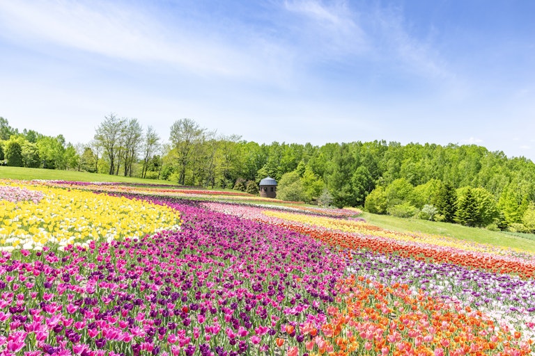 National Takino Suzuran Hillside Park