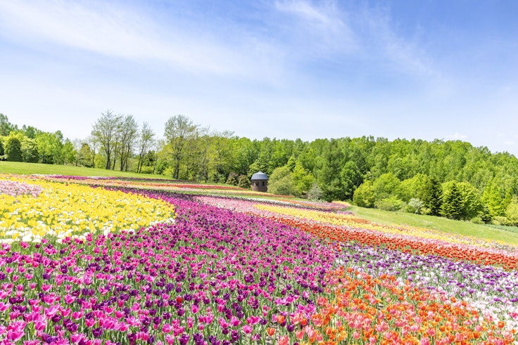 National Takino Suzuran Hillside Park