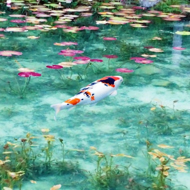 Nemichi Shrine Nemichi Shrine