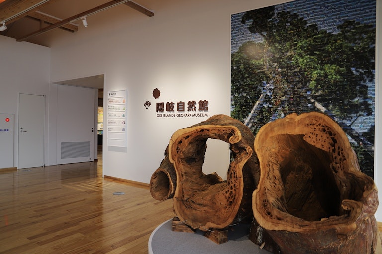 Oki Islands Geopark Museum