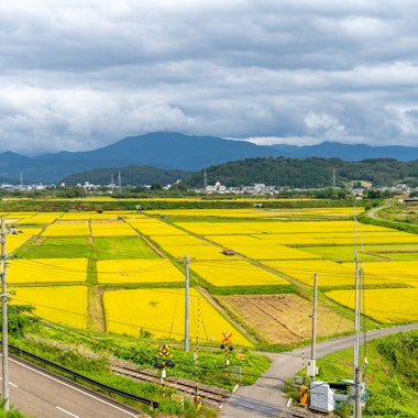 Roadside Station Tono Kaze no Oka Roadside Station Tono Kaze no Oka