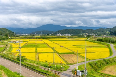 Roadside Station Tono Kaze no Oka