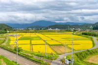 Roadside Station Tono Kaze no Oka