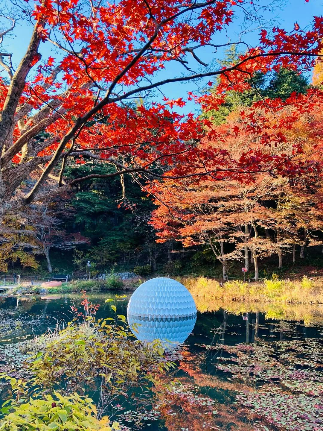 Rokko Alpine Botanical Garden