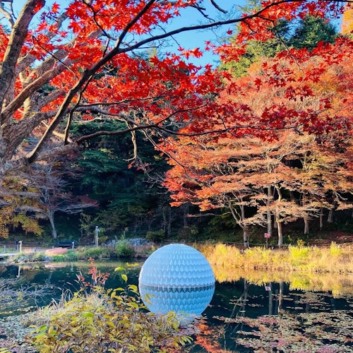 Rokko Alpine Botanical Garden Rokko Alpine Botanical Garden