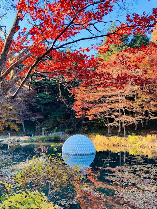 Rokko Alpine Botanical Garden