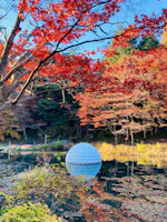 Rokko Alpine Botanical Garden