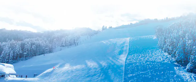 Tateyama Sanroku Ski Resort Gokurakuzaka Area