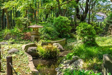 Todoroki Valley Park