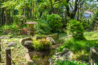 Todoroki Valley Park