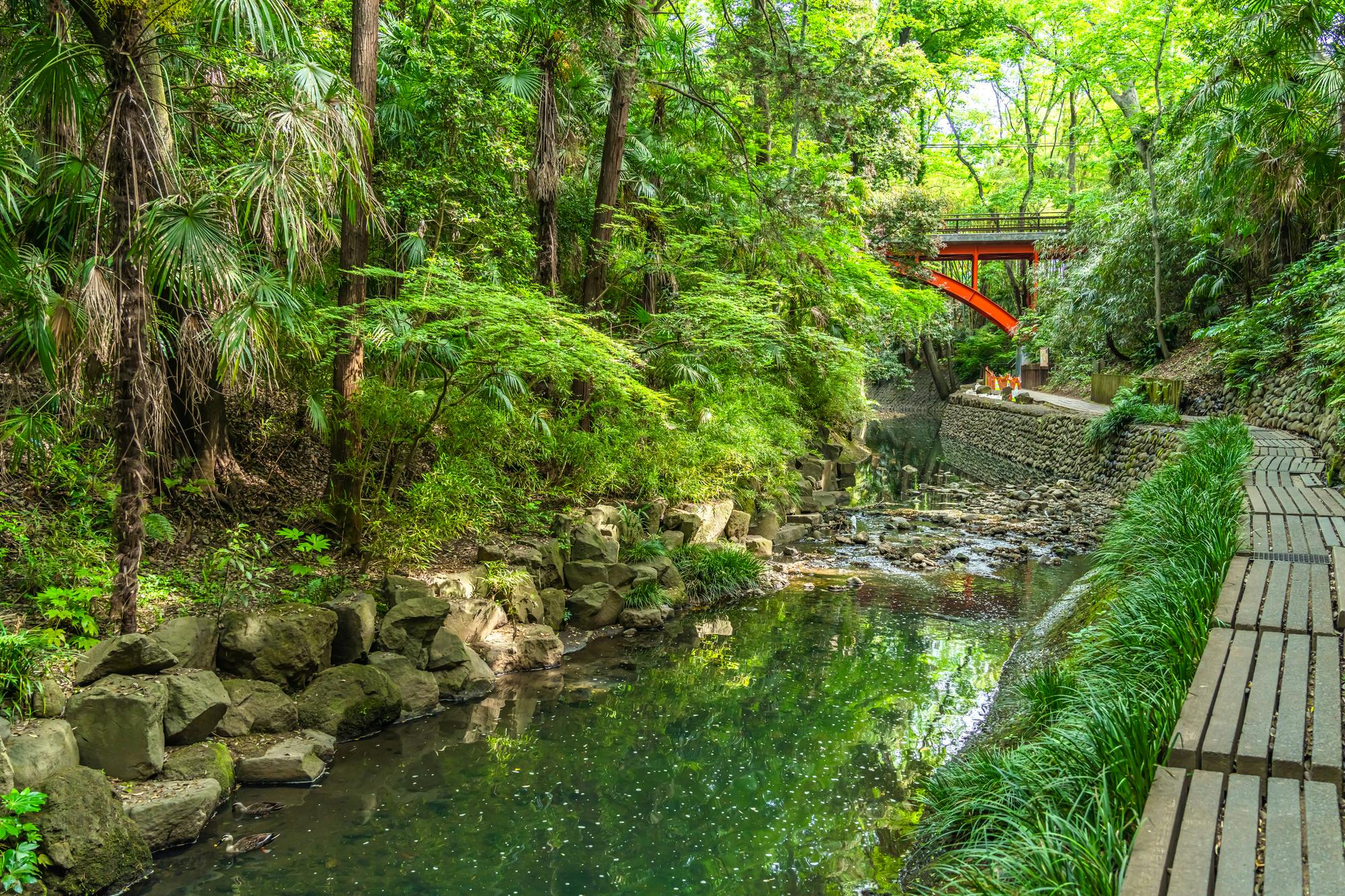 Todoroki Valley Park