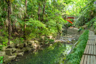 Todoroki Valley Park