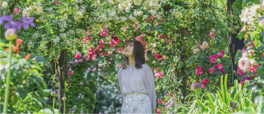 Acao Forest (Acao Herb & Rose Garden)