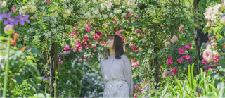 Acao Forest (Acao Herb & Rose Garden)