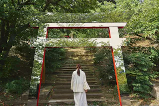 Acao Forest (Acao Herb & Rose Garden)