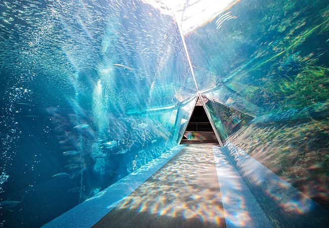 Aquamarine Fukushima