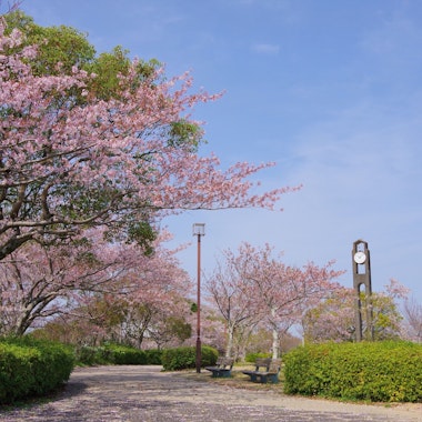 Bizan Park Bizan Park