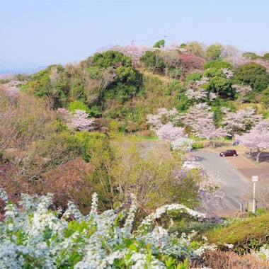 Bizan Park Bizan Park