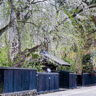 Bukeyashiki Street Bukeyashiki Street