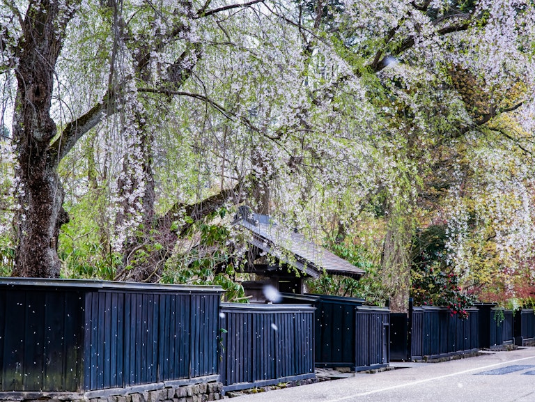 Bukeyashiki Street Bukeyashiki Street