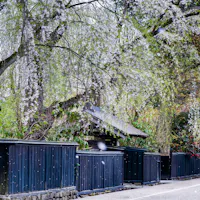 Bukeyashiki Street Bukeyashiki Street