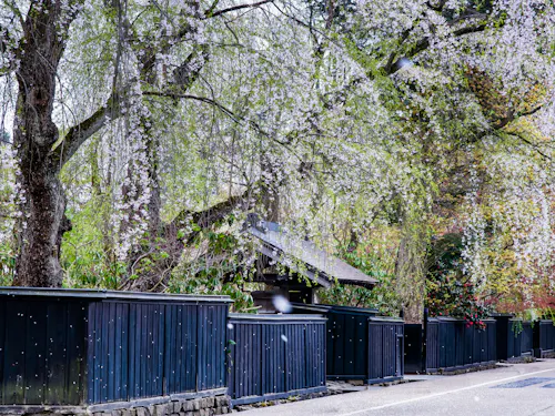 Bukeyashiki Street Bukeyashiki Street