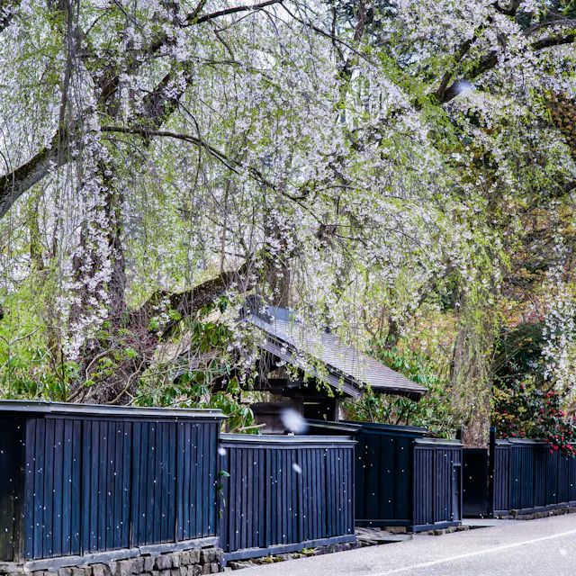 Bukeyashiki Street Bukeyashiki Street