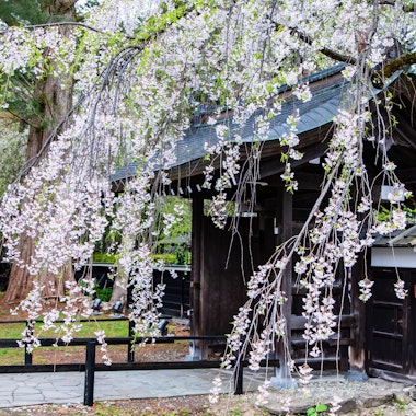 Bukeyashiki Street Bukeyashiki Street