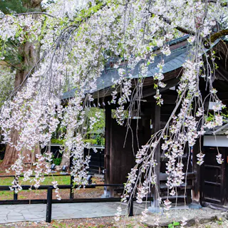 Bukeyashiki Street Bukeyashiki Street